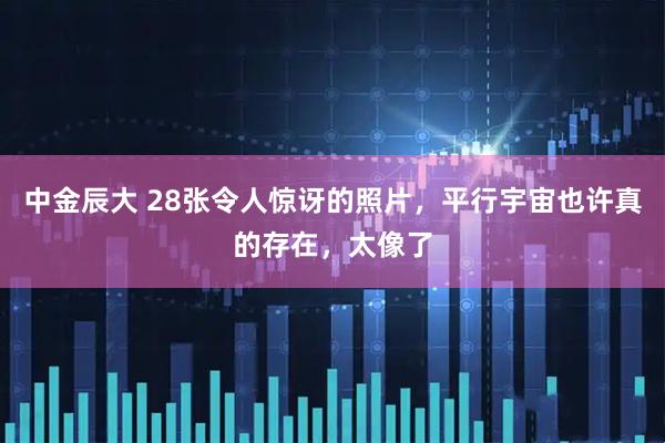 中金辰大 28张令人惊讶的照片，平行宇宙也许真的存在，太像了